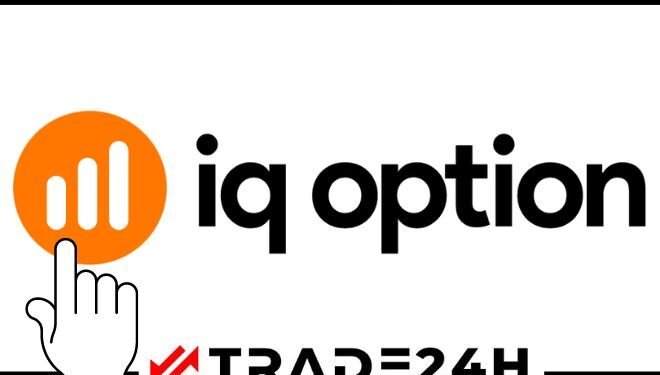 iq trade regulado